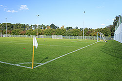 Sports Fields Renovation Brenham, TX